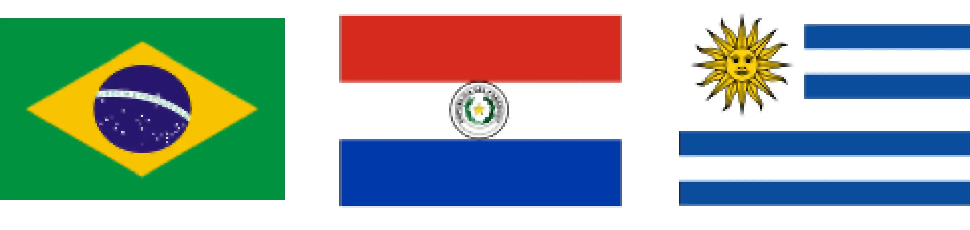 Atuação Nacional e
Internacional